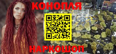 прущие грибы Апшеронск