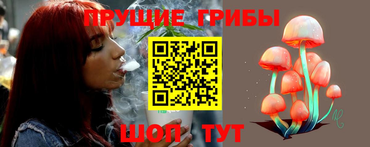 Галлюциногенные грибы мухоморы Елабуга