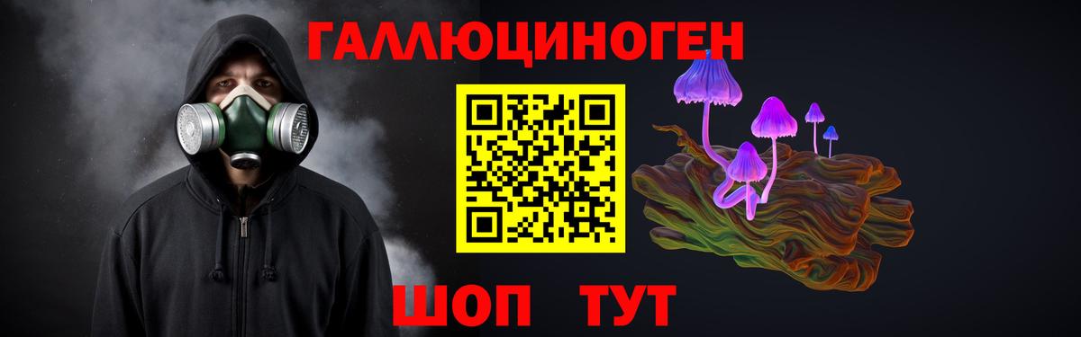 Псилоцибиновые грибы GOLDEN TEACHER  Галлюциногенные грибы мицелий  Вход с VPN  Елабуга 