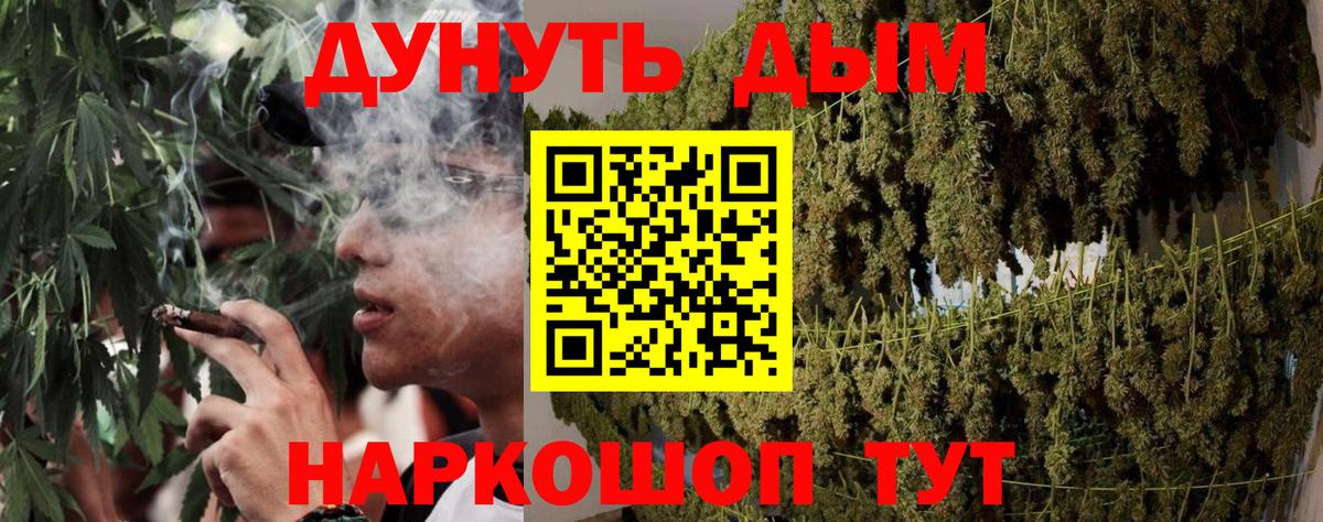 Бошки Шишки планчик Елабуга
